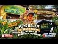 🦜 Masuk ke Kandang Burung Super Besar 😱 - Aviary Park Indonesia 