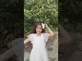 ترند يا وردة البستان اميليا