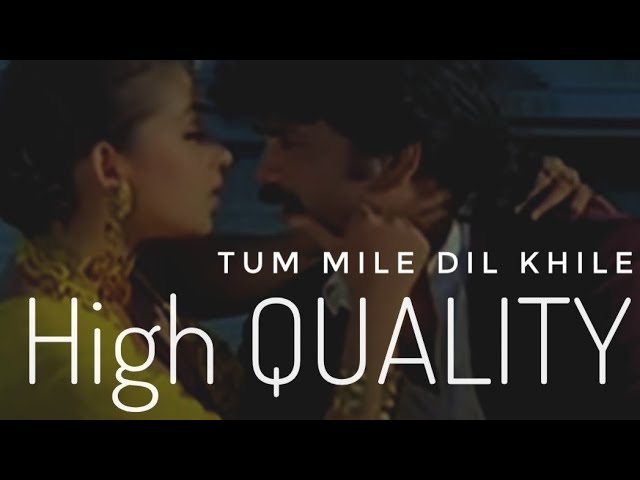 Tu Mile Dil Khile | Criminal (1994) Kumar Sanu & Alka Yagnik | (High Quality & 5.1)