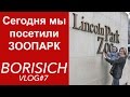 Chicago Lincoln Park Zoo Зоопарк Чикаго