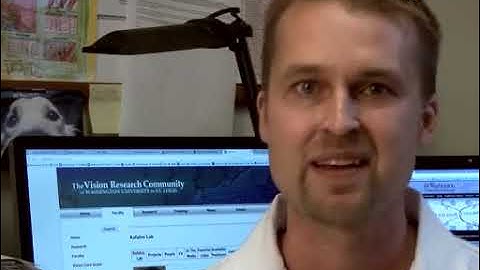 Electroretinogram System for Functional Testing of Two Retinas | Protocol Preview