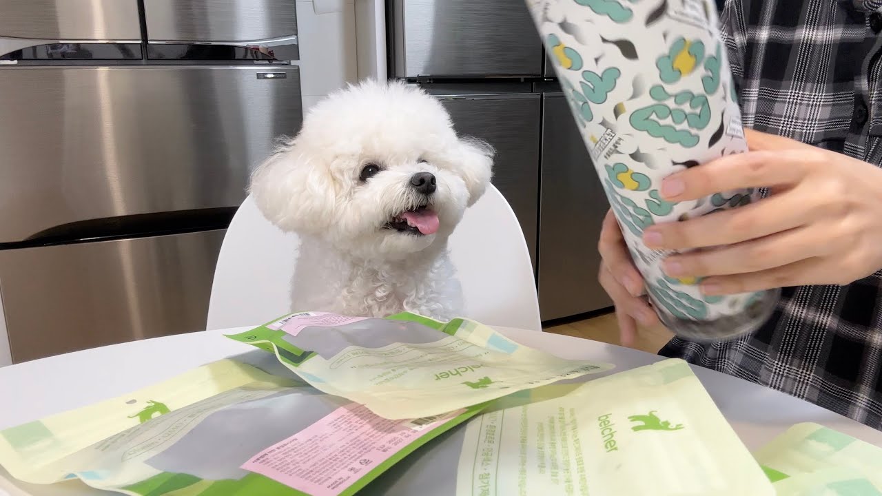 이 표정 보면… 간식 사주고 싶을걸?