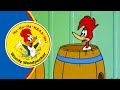 Woody Is Wanted 2 5 Hours Of Classic Episodes Of Woody Woodpecker