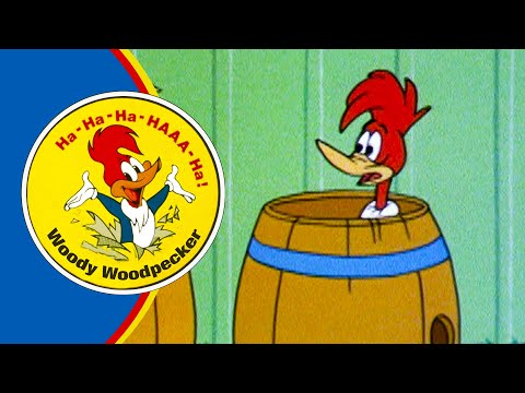 Woody Is Wanted 2 5 Hours Of Classic Episodes Of Woody Woodpecker 