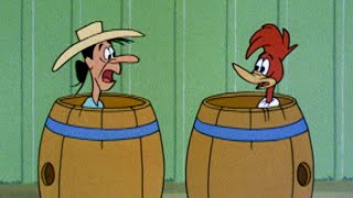 Woody is Wanted! | 2.5 Hours of Classic Episodes of Woody Woodpecker