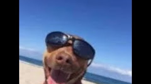 AUTO EXPOSED FIVMERD (QUIT FIVAME)