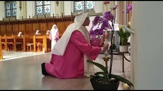 Silver Jubilee Celebration | Sis.Pauline of Pink Sister | Steyl Venlo the Netherlands 🇳🇱