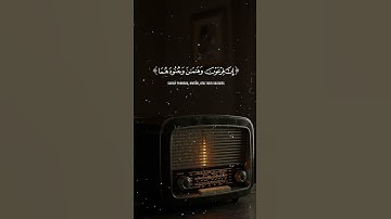 "فالتقطه آل فرعون ليكون لهم عدواً وحزناً" | تلاوة تهز القلب | المنشاوي