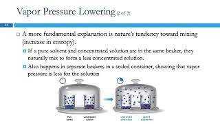 14.6 Colligative Properties