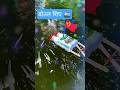 DIY CRAFT वेस्ट बोतल मेकिंक शिप 🚢 | #diy #viral #craft #short #trending #ideas