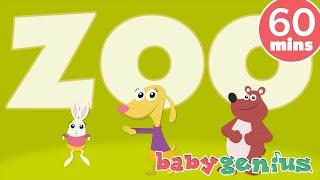 At the Zoo Song & More! 🎵 Baby Genius Kids Songs for Kids & Nursery Rhymes! 🎵 Full Hour