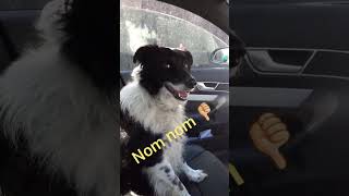 Rexs Favourite And Least Favourite Words