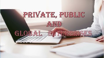 Class 11th Chapter 3 Private, Public and Global Enterprises # Full Notes#