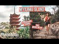 Is Miyajima Island the most beautiful place in Japan? | Exploring Hiroshima and Miyajima Island