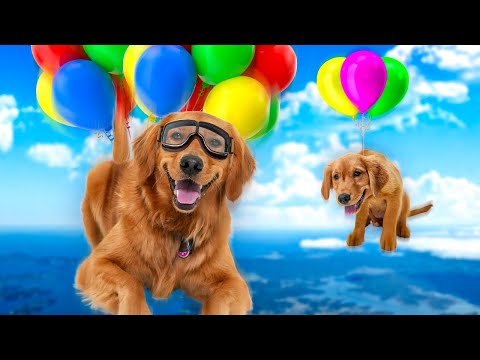 Busting 50 Dog MYTHS in Real Life!!