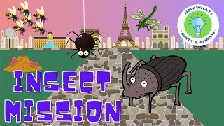 Insect Mission - PE Games and Chase Games | Virtual Physical Education | Brain Breaks