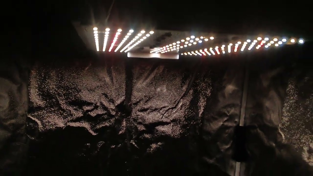 Seguimiento de cultivo hidropónico con una 