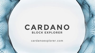 How to use the Cardano Block Explorer