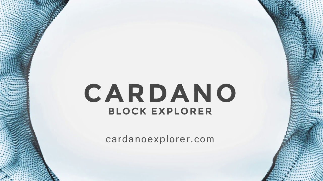 How to use the Cardano Block Explorer - YouTube