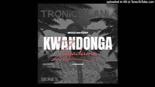 Mr Thela feat. Njelic - Kwandonga Ziyaduma (3Step Revisit)