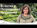 Питомник гортензий "Петровское"