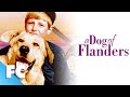 A dog of flanders  full classic drama movie  free cool dog movie  fc