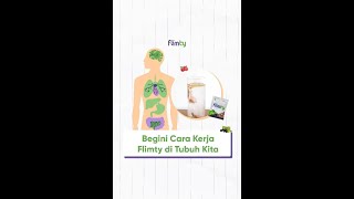 BAGAIMANA CARA KERJA FLIMTY FIBER DALAM TUBUH KITA?