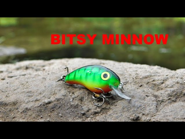 Mini Minnow Trout Fishing Lure  Micro Crankbait Fishing Lure