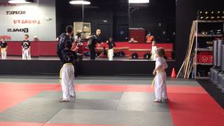 Discipline Form - Final Strike Martial Arts