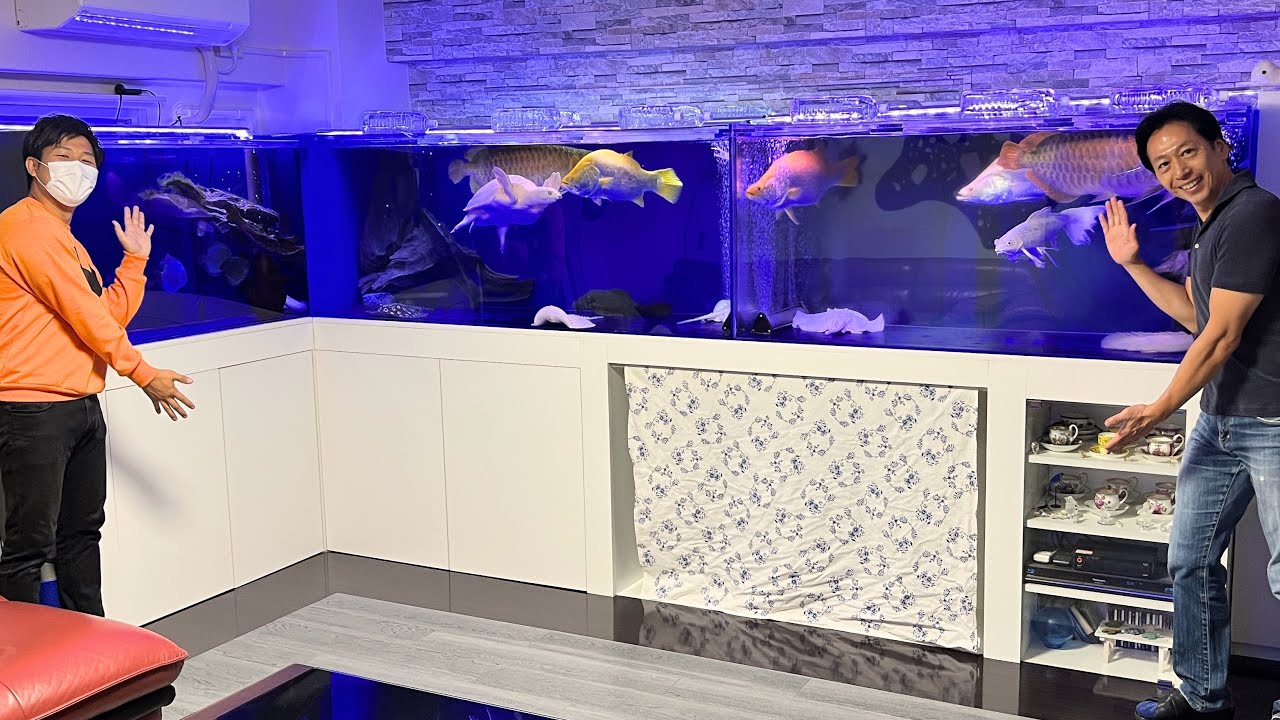 全自動で水換え!?水族館クラスの設備を持つ大型魚マニアの家が凄過ぎた・・・！