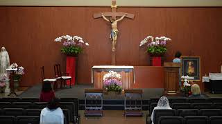 STM Livestream: 8AM Thursday Mass