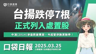 台揚(2314)連七根跌停！正式列入處置股，中鴻(2014)淨值跌破票面，今起暫停融資融券！| 口袋日報 | 2025.03.25
