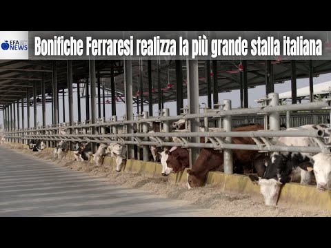 Video: I Migliori Mercati Degli Agricoltori Nel Mondo