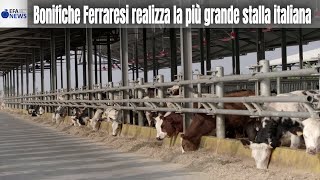 Bonifiche Ferraresi realizza la più grande stalla italiana