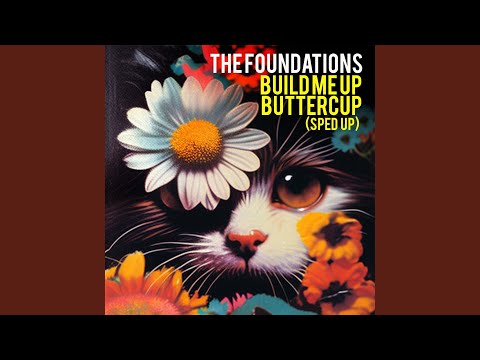 Build Me Up Buttercup (Re-Recorded - Slowed + Reverb)