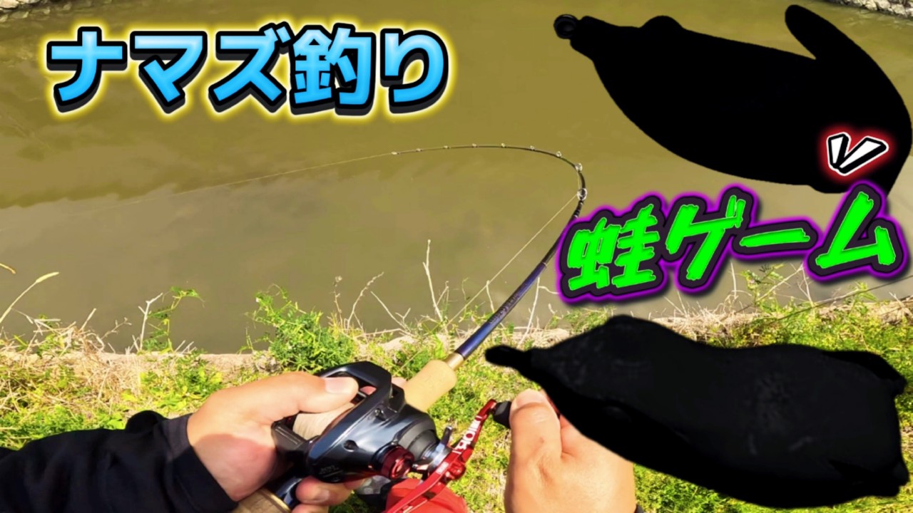 楽しさ5倍⁉︎良型ナマズを狙い撃ち‼︎フロッグ縛りでナマズ釣り - YouTube