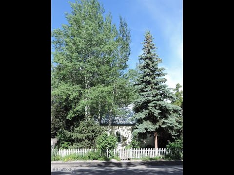 517 N Rouse, Bozeman, MT home video tour