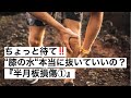 ちょっと待て‼️“膝の水“本当に抜いていいの？　『半月板損傷①』