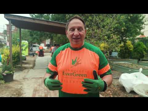 Corona Peach Tree Garden Project Video