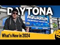 What&#39;s New in Daytona Beach in 2024