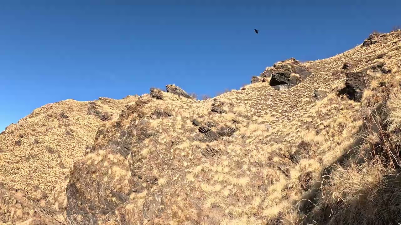 マルディヒマール34