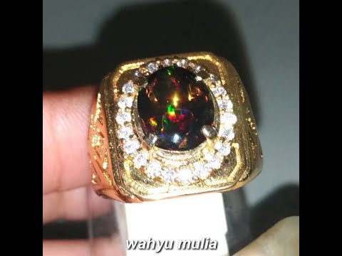 Jasmine https://wa.me/6281295850878 #blackopalbanten #kalimayabanten.. 