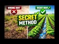 Title: "Rows and Furrows: " A Secret Method of Plant Cultivation