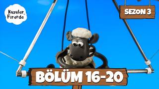 Kuzular Firarda - Shaun The Sheep 3. Sezon 16 - 20. Bölümler | Okula Dönüş 🚌🔔