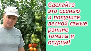 Что нужно сделать осенью,  чтобы получить ранний урожай овощей весной. видео