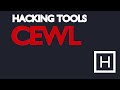 Use cewl to spider and scrape websites for words
