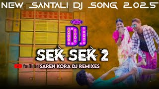 Sek Sek 2//new santali dj song 2025#new_santali_dj_song //new santali rcf dj song 2025#djremix#2025