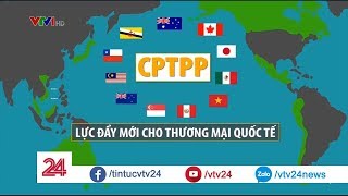 CPTPP Lực Đẩy Mới Cho Thương Mại Quốc Tế  - Tin Tức VTV24