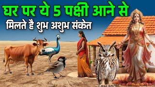 घर पर ये 5 पक्षी आने से मिलते है शुभ अशुभ संकेत आती है साक्षात लक्ष्मी Vastu tips