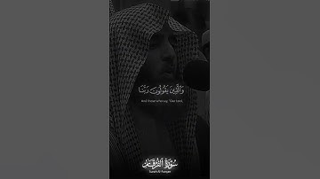 والذين لا يشهدون الزور (سورة الفرقان ٧٢) محمد اللحيدان قرأن كريم #قران_راحة_نفسية #قران_كريم #الله